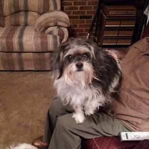 Meet your Posher, Sylvia